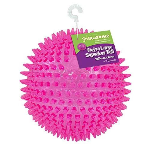 Gnawsome squeaker ball dog clearance toy