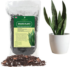 Premium Snake Plant Potting Soil Mix 4L Bag for Sansevieria Indoor Houseplants