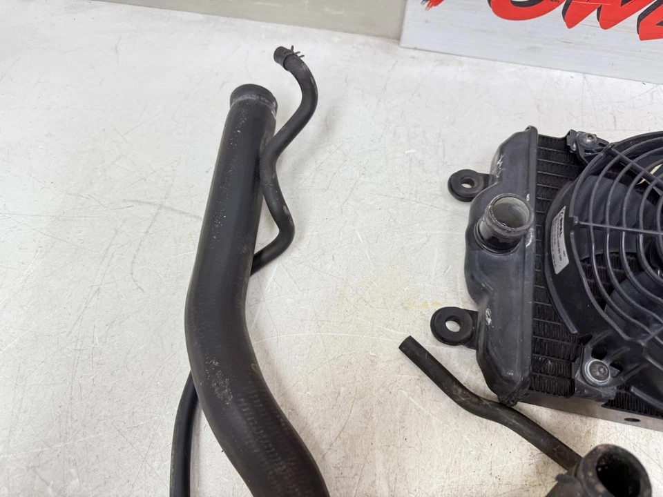 Harley Davidson Street XG 500 2020 radiador ventilador térmico botella depósito mangueras Foto 4 de 4