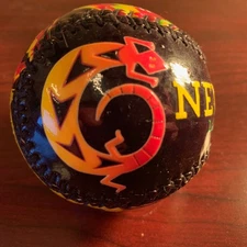 New Mexico Land of Enchantment  Souvenir Gloss Baseball Ball