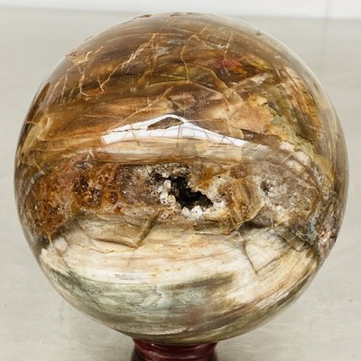 Natural Petrified Wood Polished Stone Quartz Crystal Sphere Ball Healing 1980G