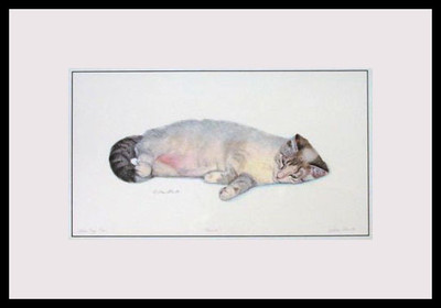 REVERIE LYNX POINT SIAMESE FRAMED MINI CAT ART PRINT - DREW STROUBLE CATMANDREW