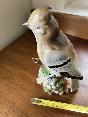 Vintage Porzellan German No 5516/1 Handbemalt Vogel Eichelhäher? Ornament 30er Jahre (kn6)