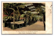 Reptile House Interior New York Zoological Park NYZP NY UDB Postcard Y21