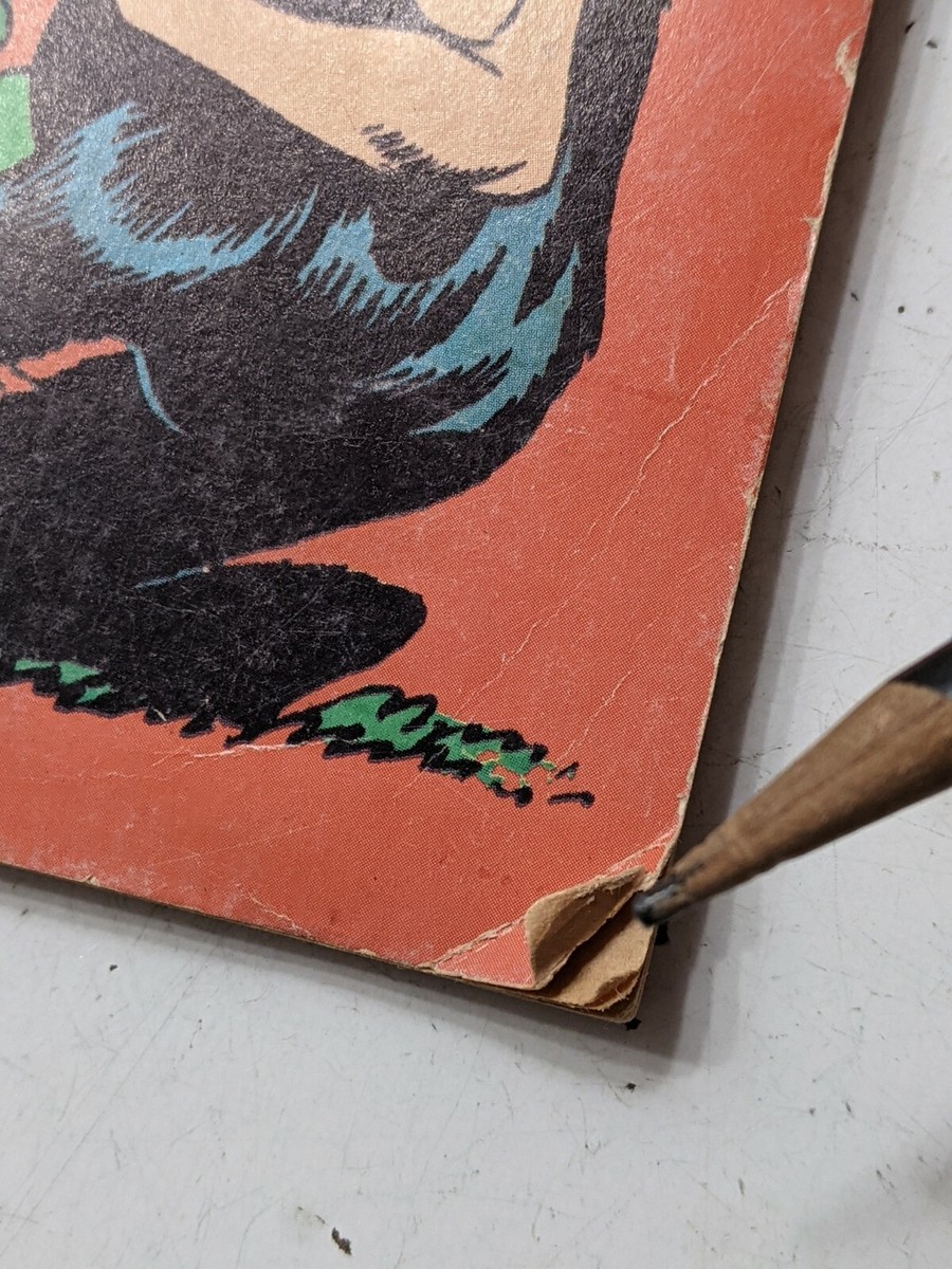 弾丸ターザン Vtg 1977 Edgar Rice Burrough's Tarzan Coloring Book Rand