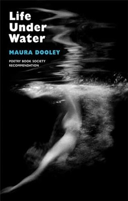 Life Under Water by Maura Dooley Paperback Book The Fast Free Shipping