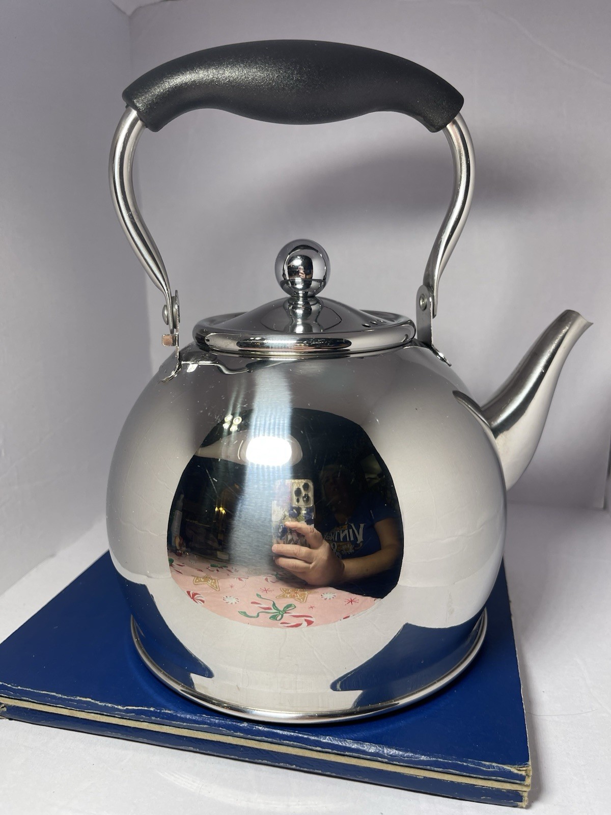 L'epicure Stainless Steel 18/10 Teapot 1 Quart Kettle Premium Quality Strainer