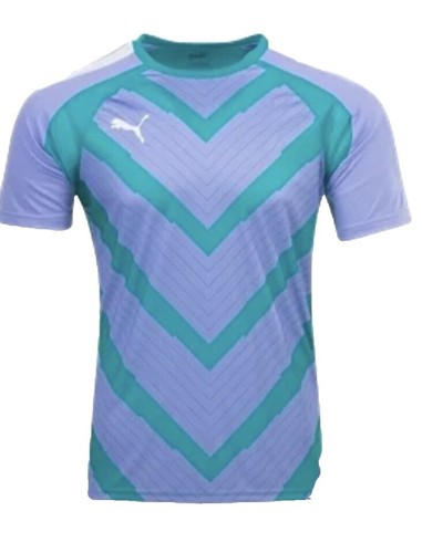 Puma Manchester City Prematch 1/4 Zip Top Uniform Jersey T-Shirt