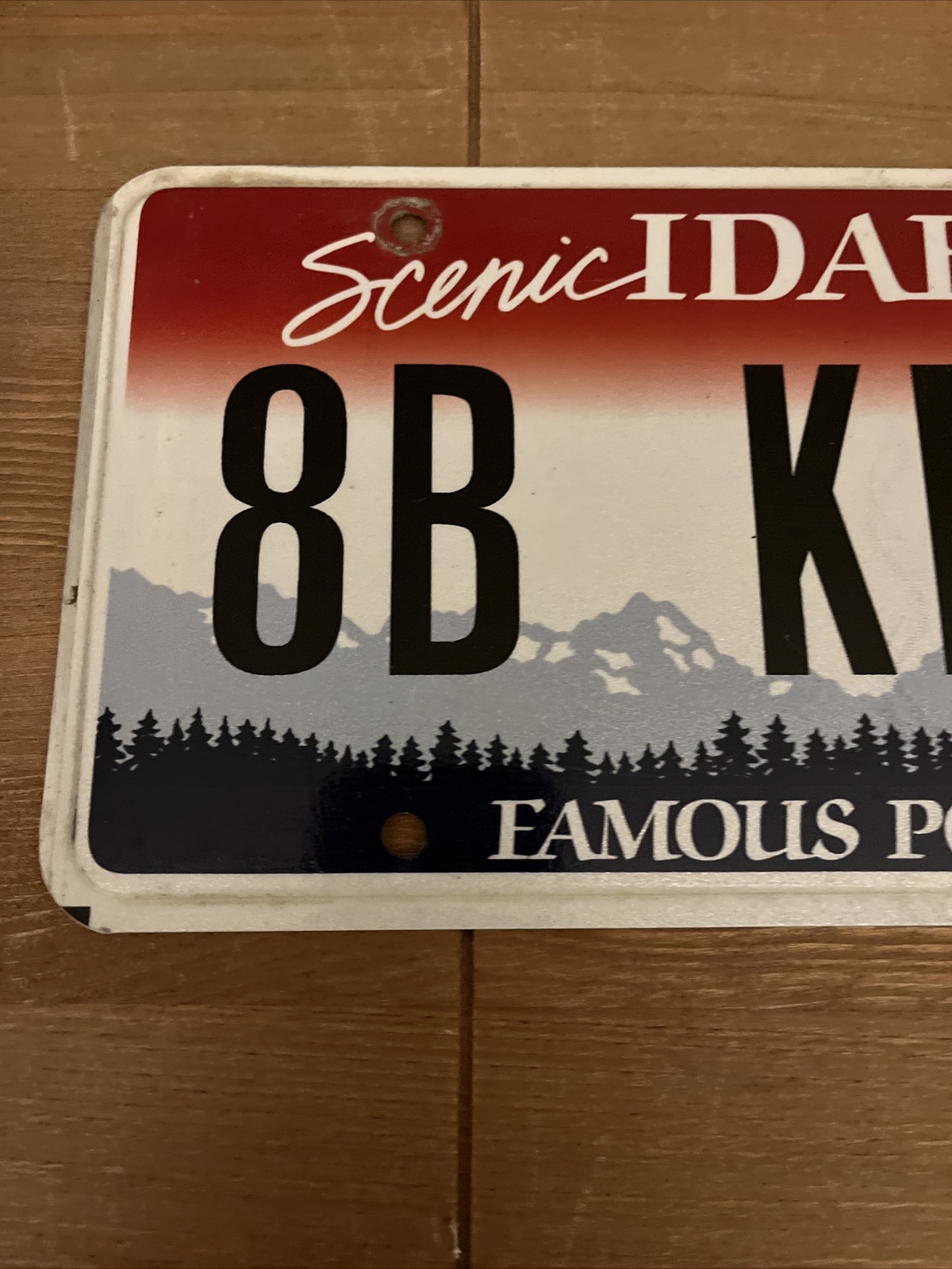 Idaho LICENSE PLATE. Famous Potatoes 🥔 Tag Booneville Idaho Falls =8B