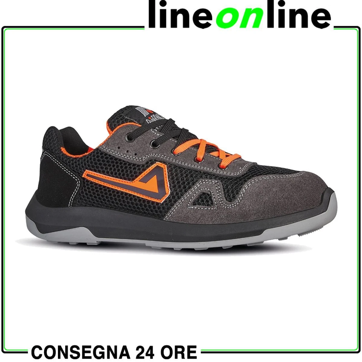 Aimont catalogo store