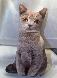 Realistic large gray Cat Pillow EUC 18 x 12 inches double side print. Zipper 