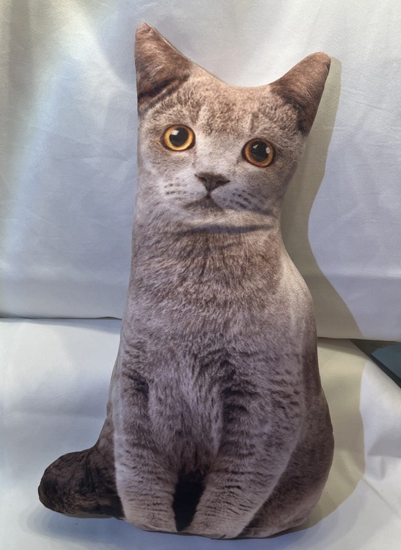 Realistic large gray Cat Pillow EUC 18 x 12 inches double side print. Zipper 
