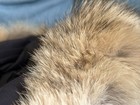 Bild 7 von 11