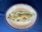 Antique Victorian Minton Flow Blue Oval Fish Serving Platter Gilt 10 x 12 in