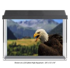 Drooling Bald Eagle Polyester Fish Tank Glass Back Drop Aquarium Background New