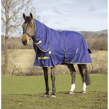 Asker 200G Mediumweight Waterproof Horse Turnout Rug, Combo Neck, Navy Blue (4Ft