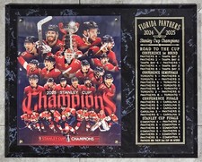 Florida Panthers 2024-2025 Stanley Cup Champions 12" X 15"  Plaque