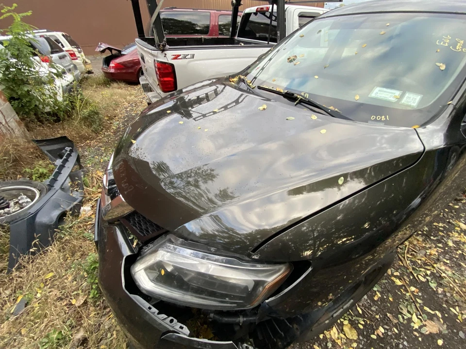 Used Hood fits: 2014 Nissan Rogue VIN 5 1st digit USA built Grade A Foto 2 de 4