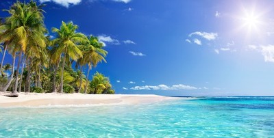 Wandbild: Palm Beach im tropischen Paradies - Guadalupe Island - Karibik [...]