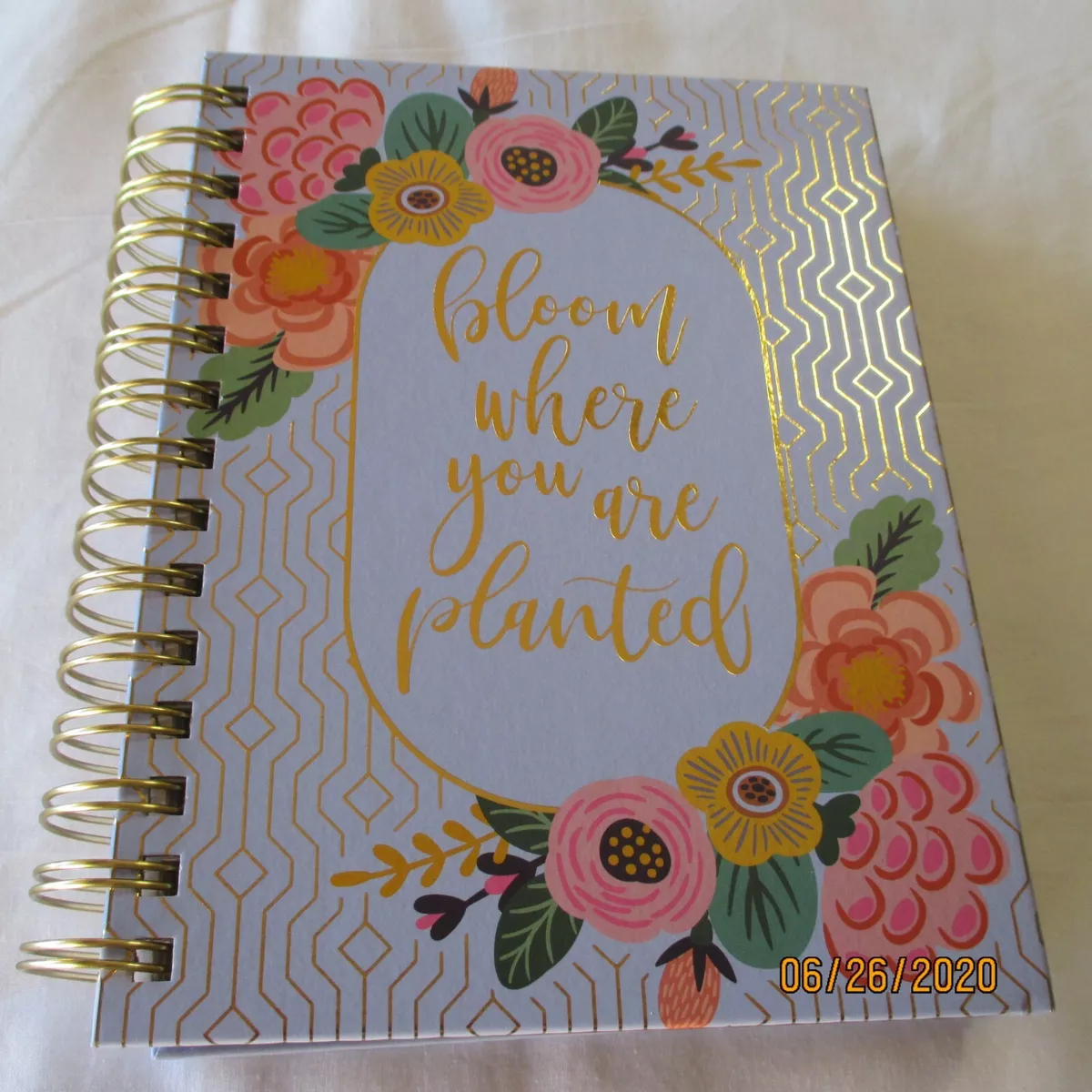 Golden Eyes Notebook