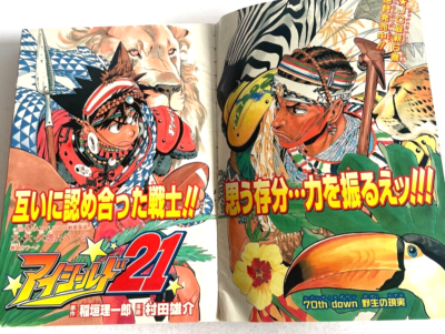 Weekly Shonen Jump 2004 No.4-5 ONE PIECE color page 300th episode