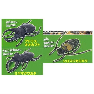Spielbare Insekten Figur Serie Wald der Insekten 3-teiliges Set Gashapon Kapsel Spielzeug