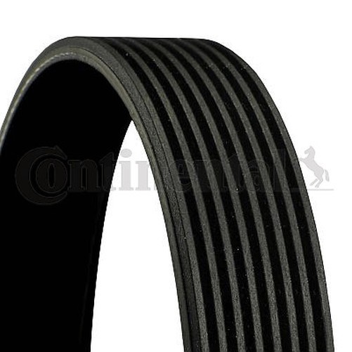 Continental Ctam 8PK1795 Rippenriemen FüR MERCEDES-BENZ, Scania-image