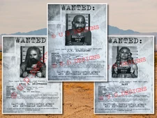 The Devil's Rejects Wanted Posters Spaulding, Otis, Baby 3 Glossy Poster Reprint