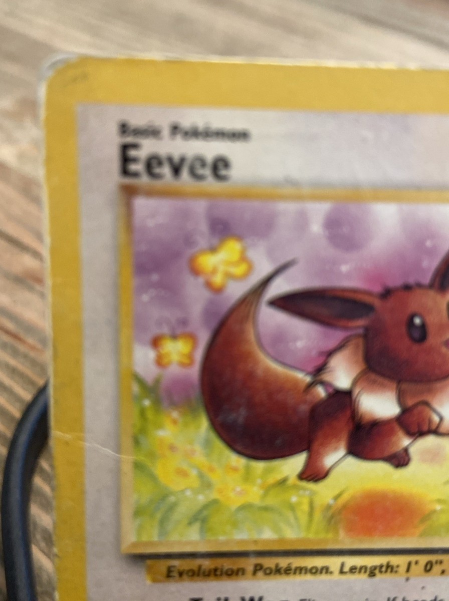 eevee pokemon card 1995 Pokemon - Eevee (55) - Team Rocket main image 1