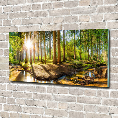 Wandbild aus Plexiglas  Druck auf Acryl 140x70 Landschaften Wald Panorama