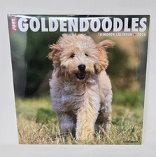 NEW! 2025 JUST GOLDENDOODLES Wall Calendar by Willow Creek Press 12x12