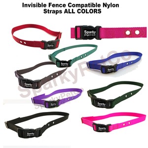 petsmart invisible fence