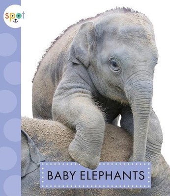 Baby Elephants by K.C. Kelley (English) Paperback Book