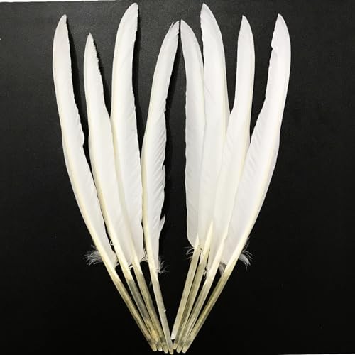 Feathers 10-12in,30PCS Natural Long Goose Feather,Bulk Left and Right White - Photo 5/7