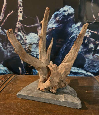 Sera Scaper Wood M auf Schieferplatte Wurzel 18x14x23cm Holz für Welse Aquarium