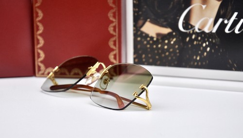 Vintage Occhiali Cartier C Decor Gold Sunglasses Rimless Frame Brille  Lunette | eBay
