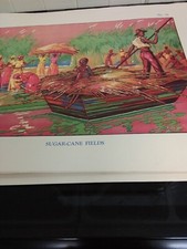 VINTAGE 1930s School Print - Sugar Cane Fields By Dorothy Newsome 