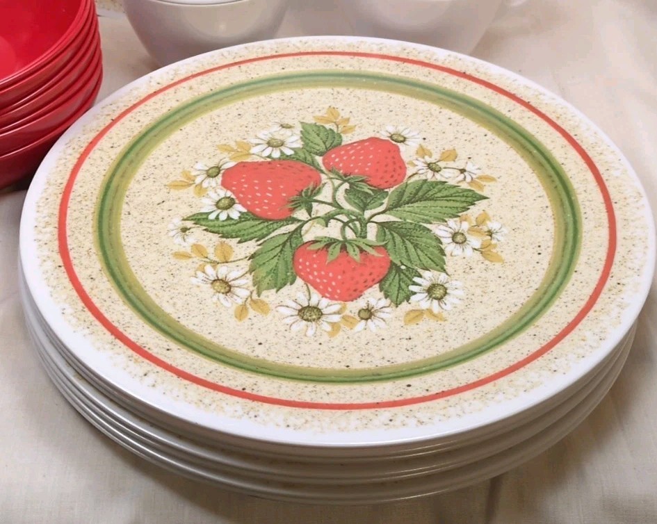 Vintage 70s Melamine Dishes Set NHP Artisan Ware 42 Pc Plate Bowl