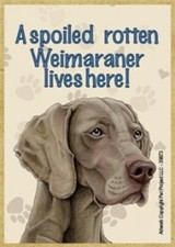 A spoiled rotten Weimaraner lives here Wood Fridge Locker Dog Magnet 2.5X3.5