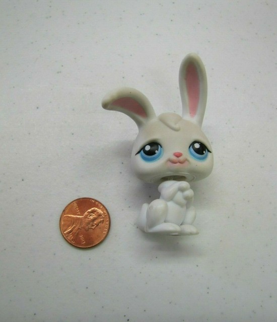 lps bunny
