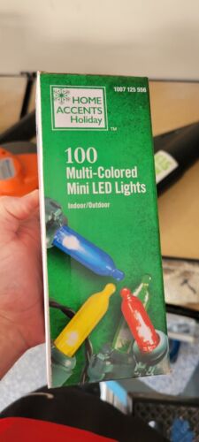 Home Accents Holidays 100 Multi Colored Mini LED Lights - INDOOR/OUTDOOR. NEW - Picture 4 of 6