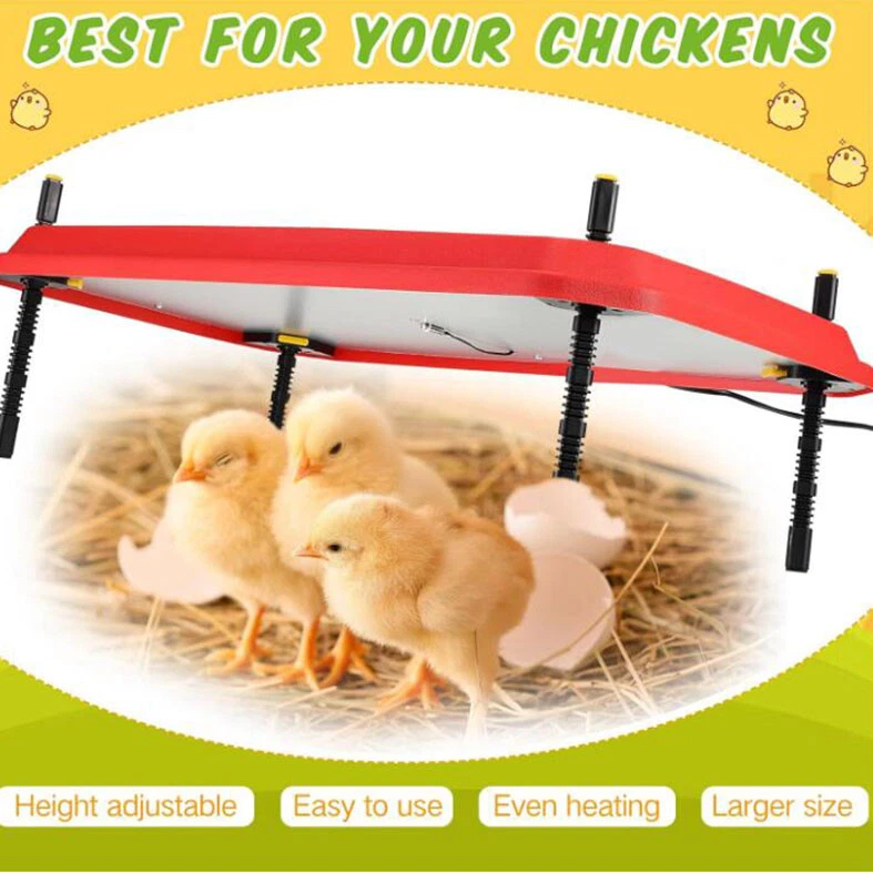 60*40cm Chick Brooder Heating Plate Chicken Coop Heater Chicken Warmer - image 4 of 4