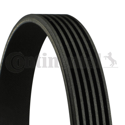 Continental CTAM 6PK1038 V-Ribbed Belt for Alfa Romeo Fiat Lancia Lexus Peugeot