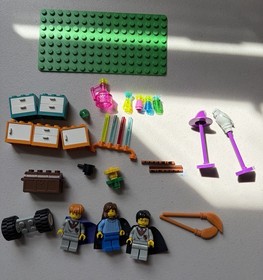 LEGO Harry Potter: Diagon Alley Shops (4723) Figures & Parts Hermione Harry Ron
