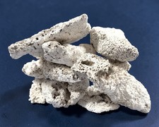 Fossiles Riffgestein | 10er-Set natürliche Mini-Riffsteine | verschiedene Formen