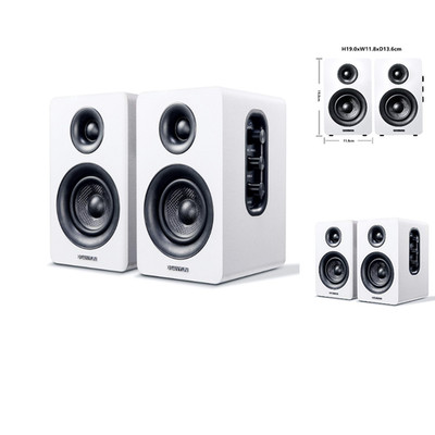Sanyun SW208 3 Zoll Bluetooth 5 60W Kohlefaser Laut