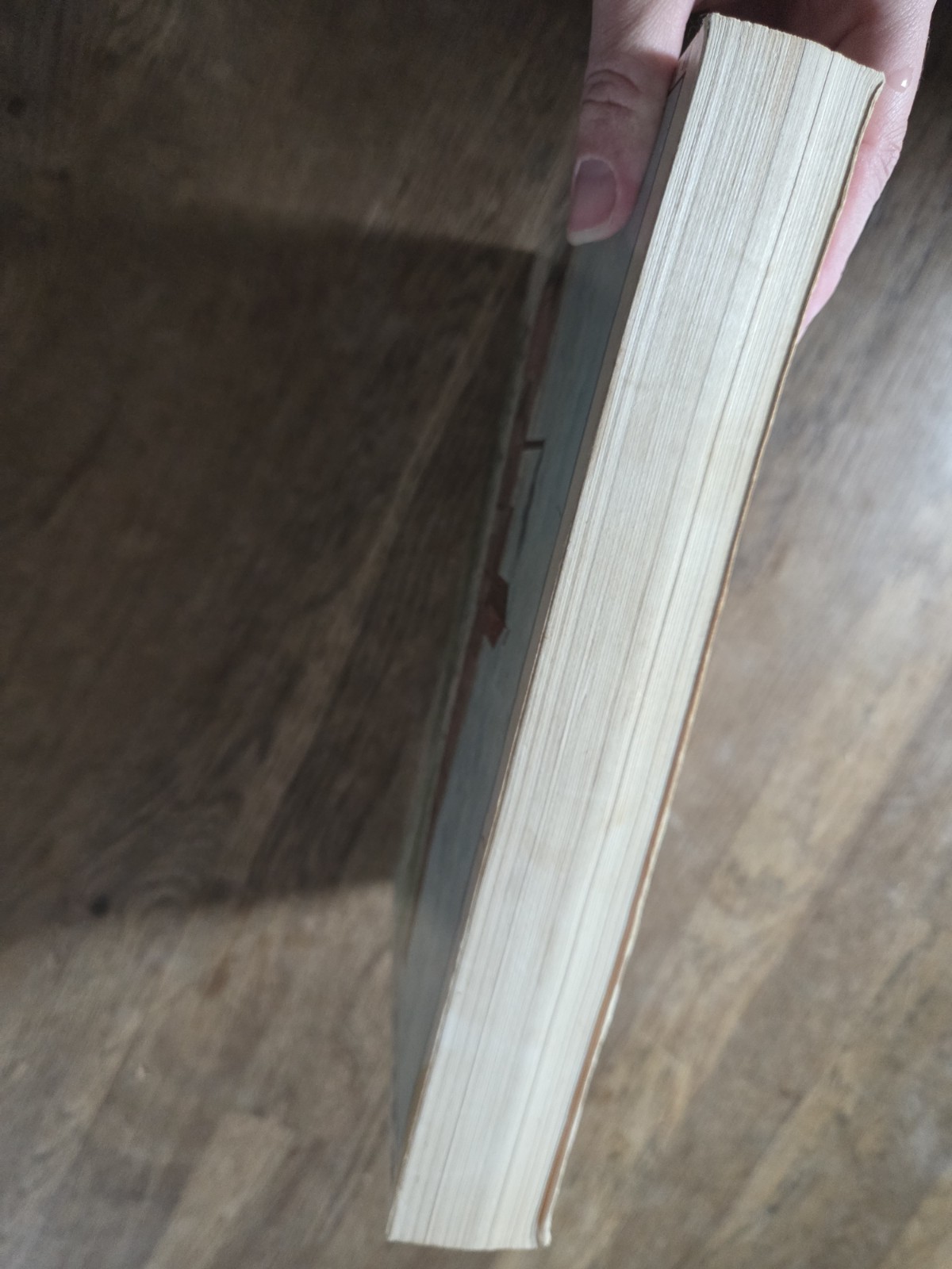 Vintage Sears Roebuck & Co 1908 Catalogue No. 117 Great Price Maker 1969