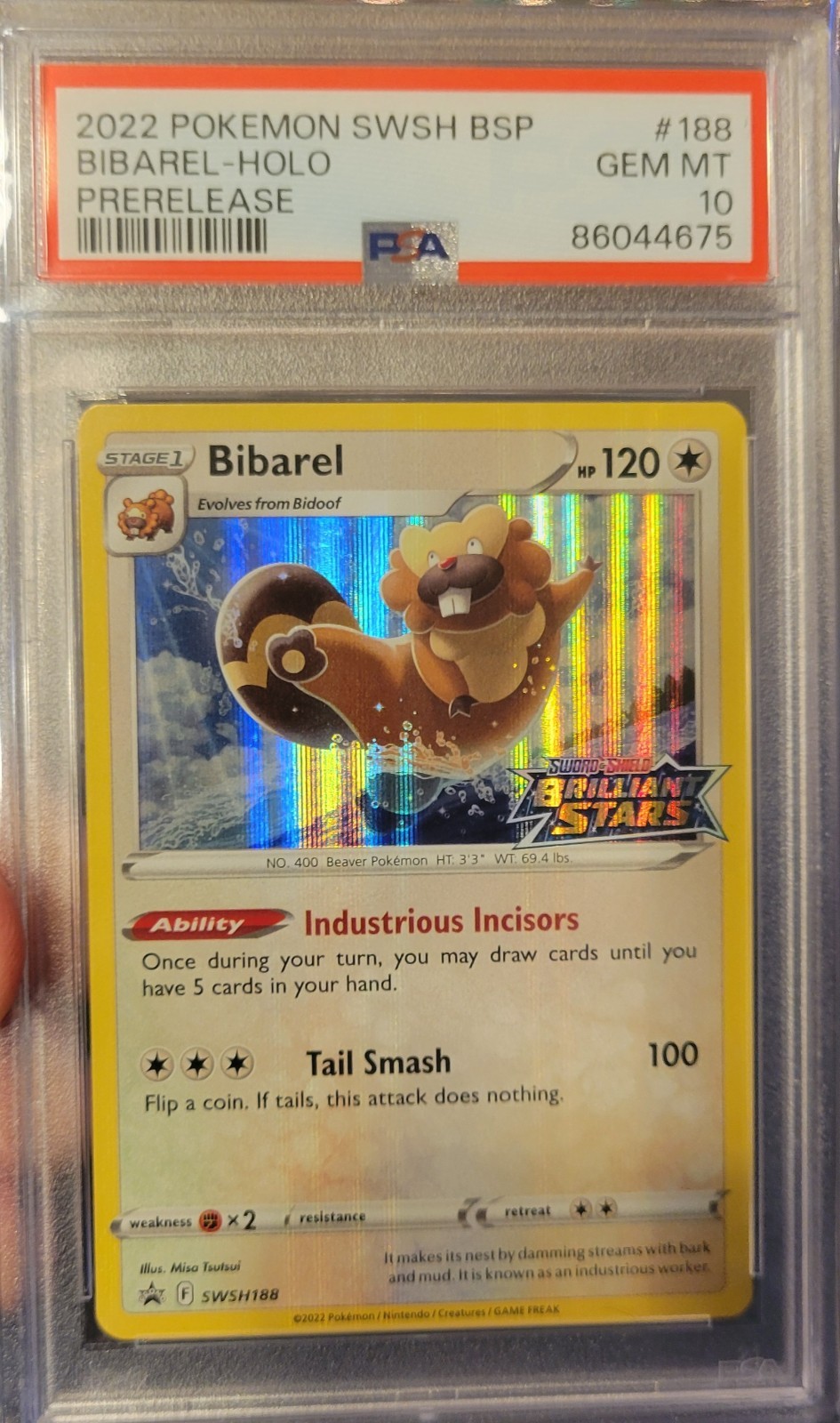 PSA 10 GEM MINT Bibarel SWSH188 Black Star Promo Stamped Prerelease Holo Pokémon