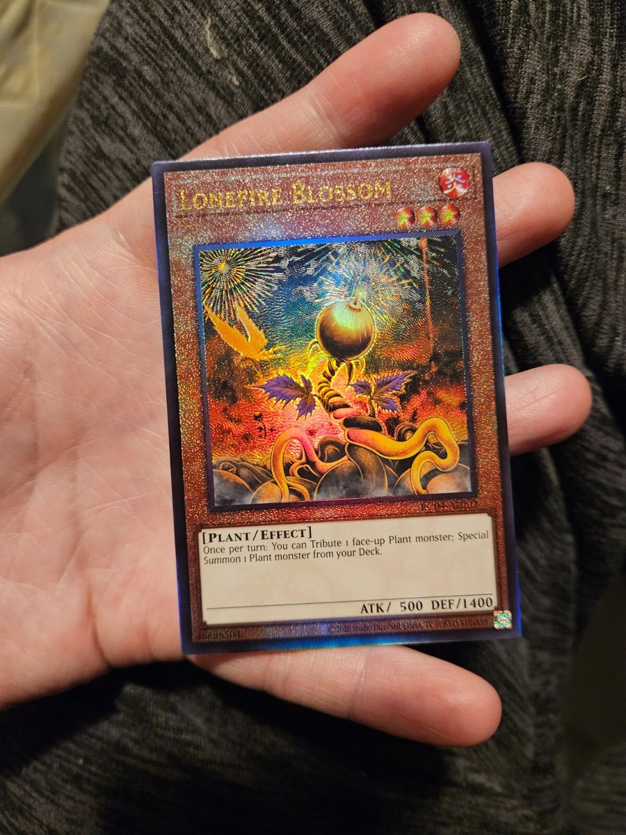 あひるの空 1～46 ＋Part1＋Best sellection Yu-Gi-Oh! OCG/[ALIN] ALLIANCE INSIGHT]Regenesis Archfiend