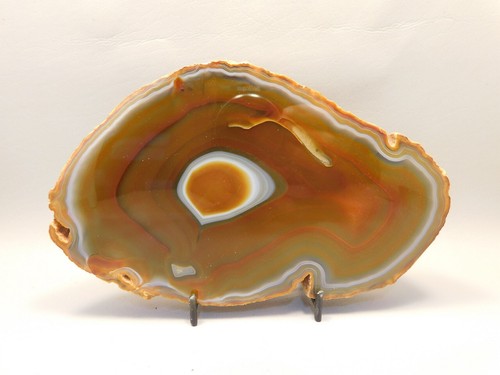 Brazilian Agate Polished Stone Slab Piranha Agate Rock Decor #O3